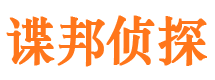 梅里斯市婚姻调查